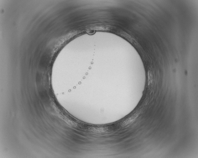 X0000052610349200507221705