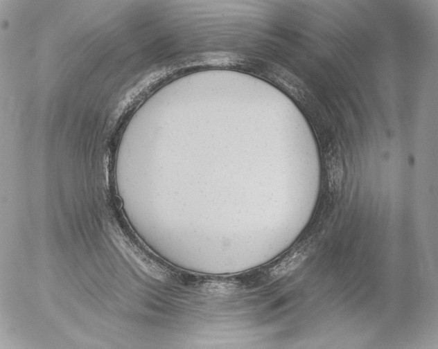 X0000052610350200507221705