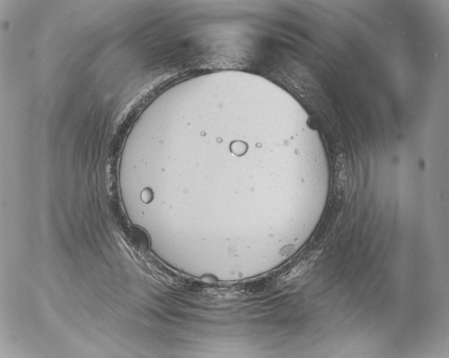 X0000052610351200507221705