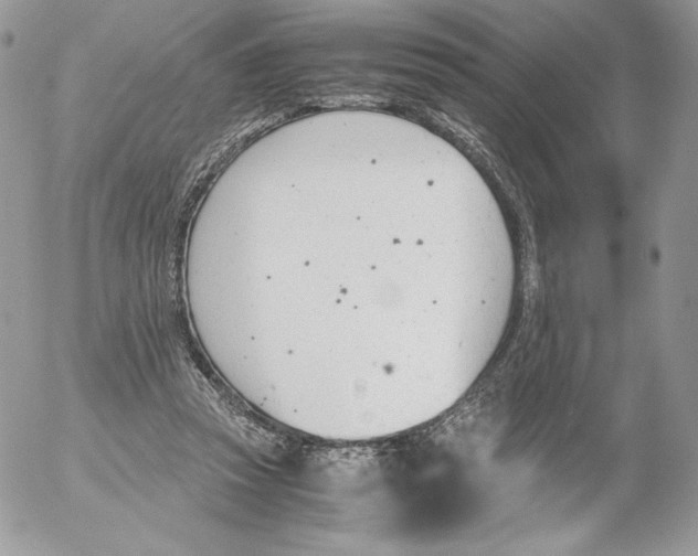 X0000052610353200507221705