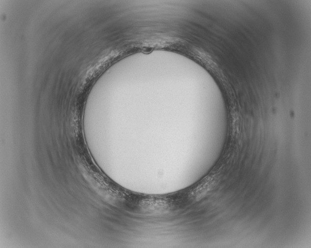 X0000052610354200507221705