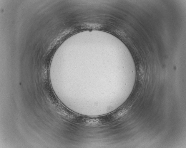 X0000052610355200507221705