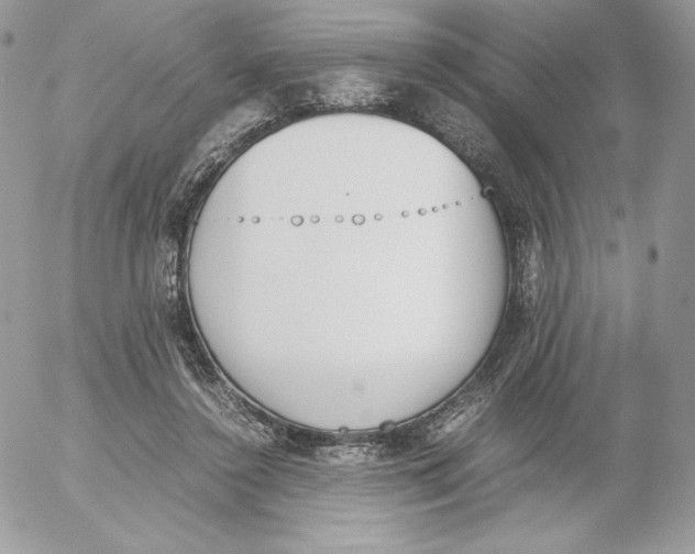 X0000052610356200507221705