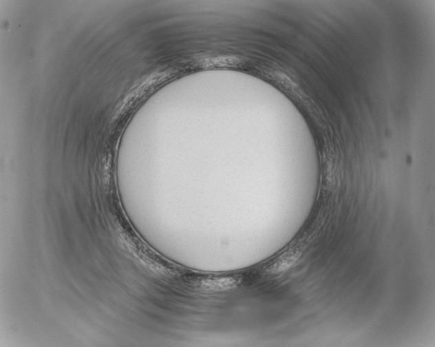 X0000052610357200507221705