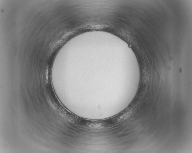 X0000052610358200507221705