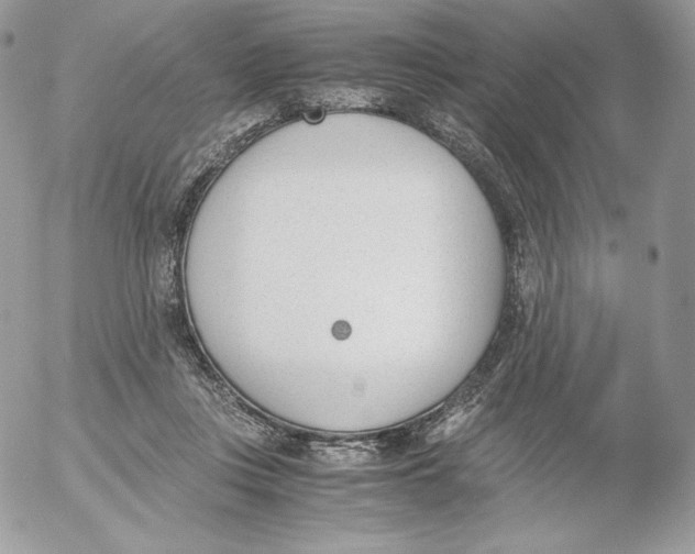 X0000052610359200507221705