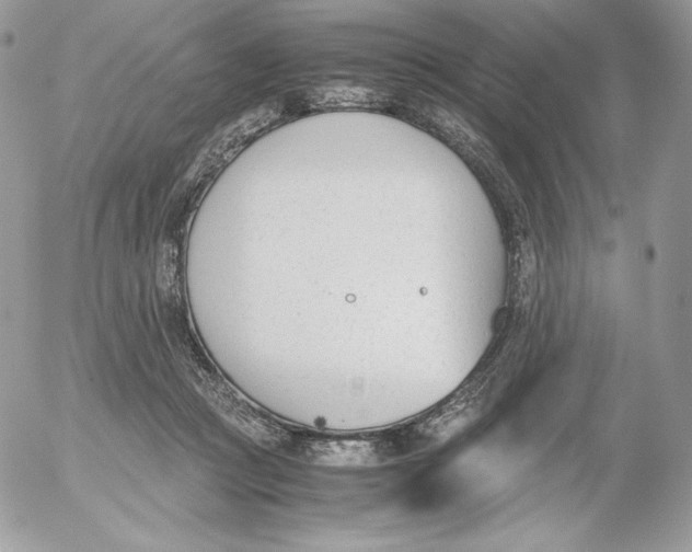 X0000052610361200507221705