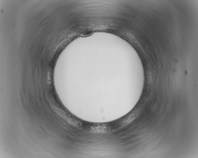 X0000052610362200507221705