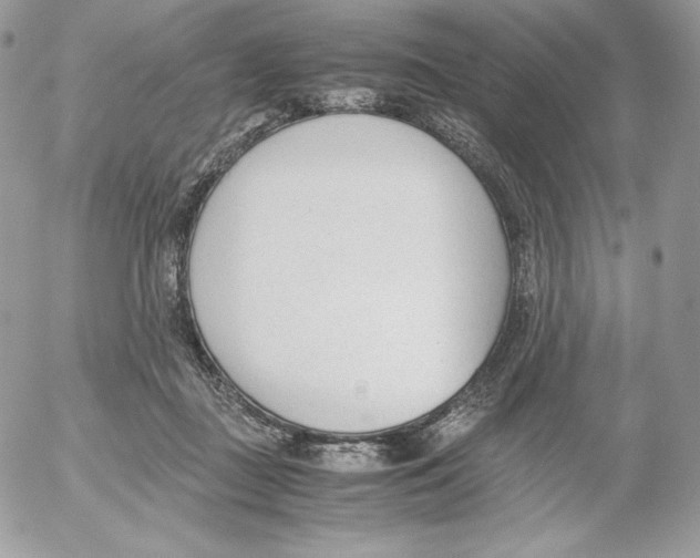 X0000052610363200507221705