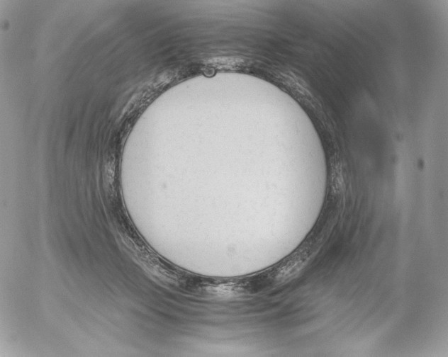 X0000052610365200507221705