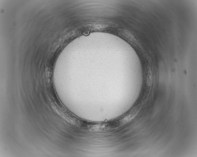 X0000052610366200507221705