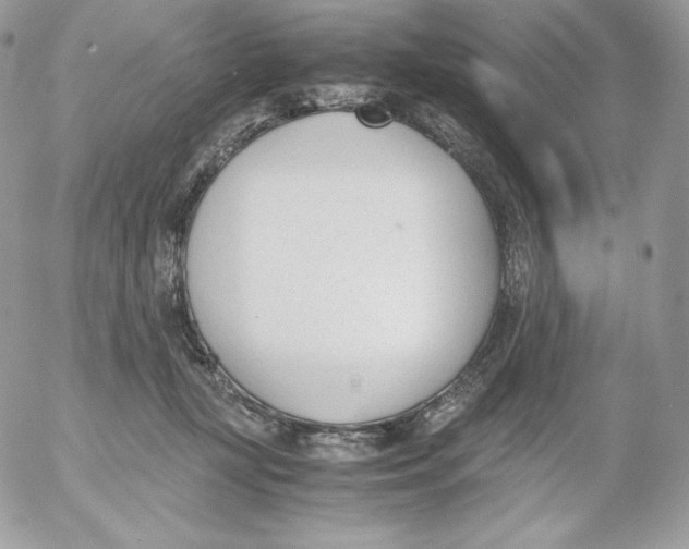 X0000052610367200507221705