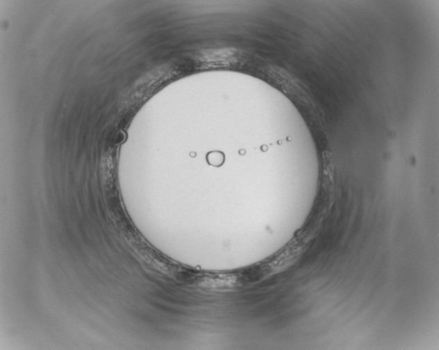 X0000052610369200507221705