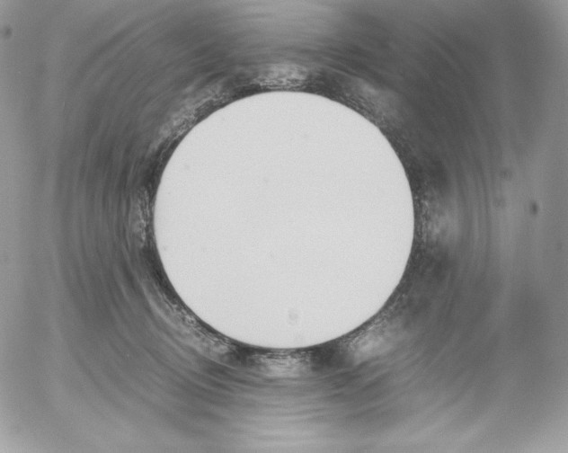 X0000052610370200507221705