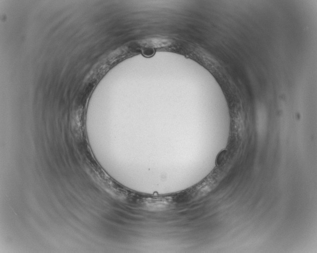 X0000052610373200507221705