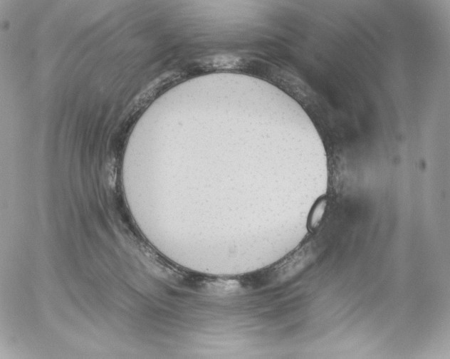 X0000052610374200507221705