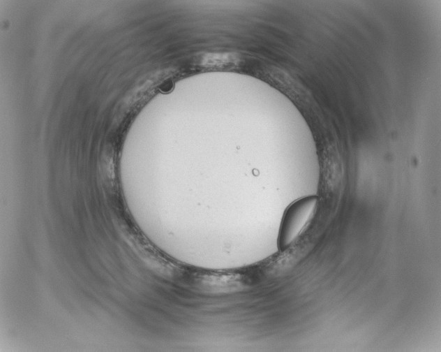 X0000052610375200507221705