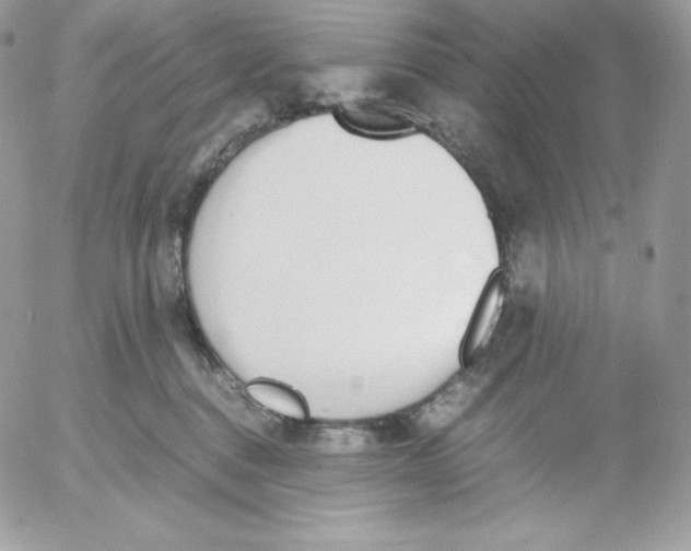 X0000052610376200507221705