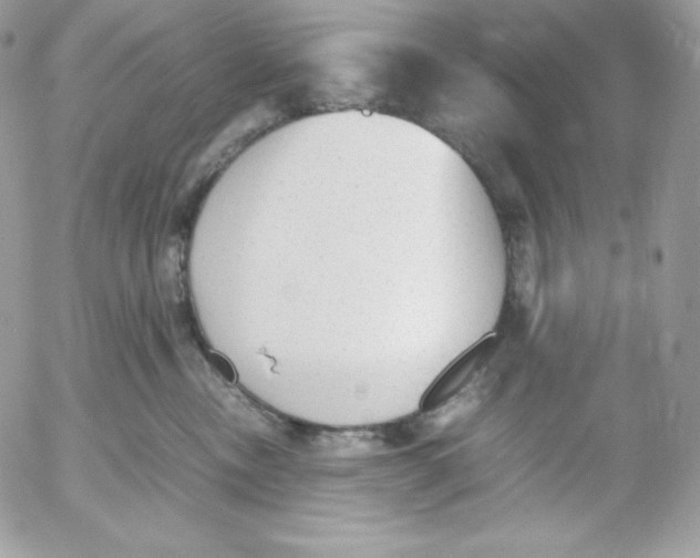 X0000052610378200507221705