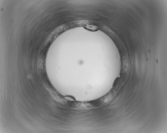 X0000052610379200507221705