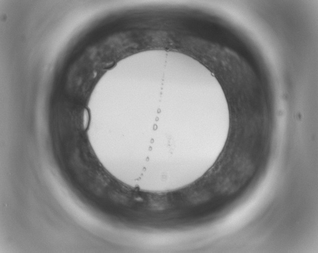 X0000052610382200507221705