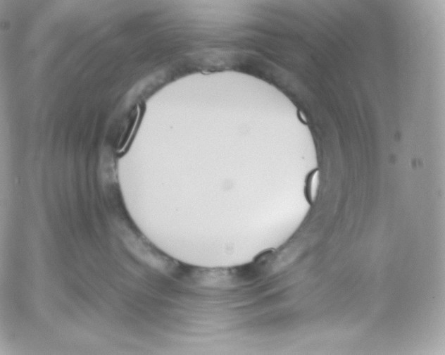 X0000052610384200507221705