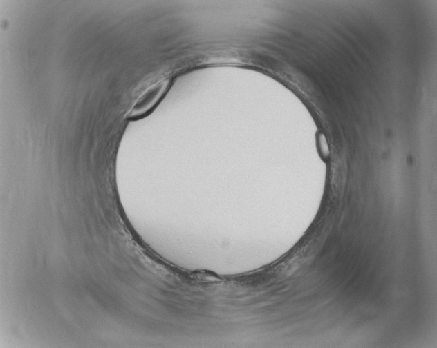 X0000052610385200507221704