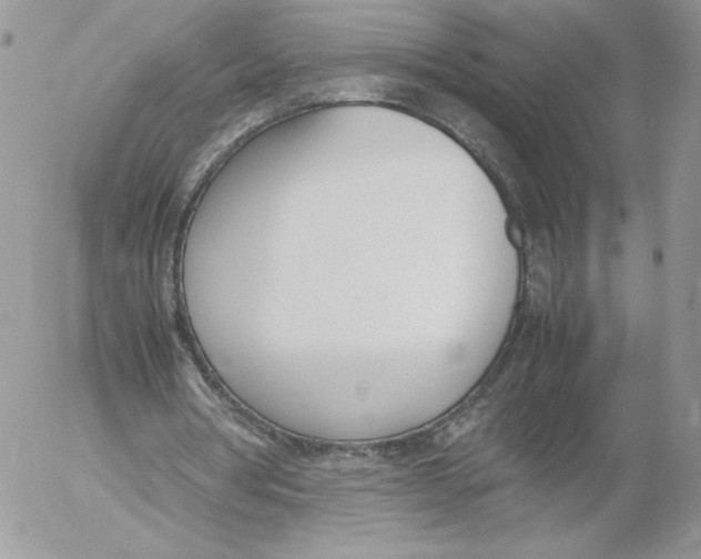 X0000052610386200507221704