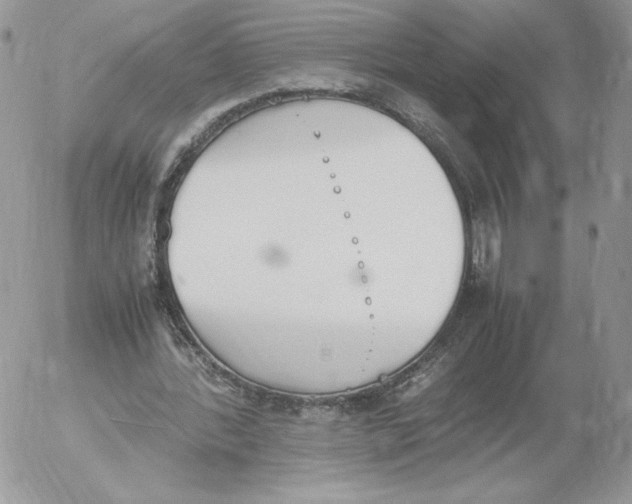 X0000052610388200507221704