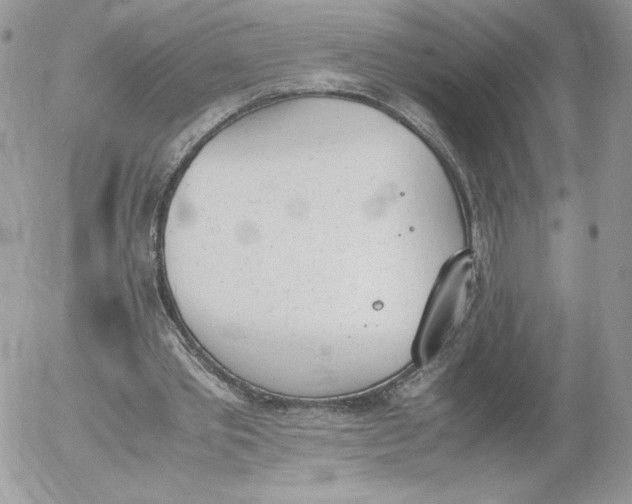 X0000052610389200507221704