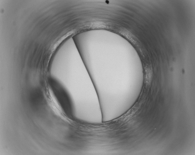 X0000052610390200507221704