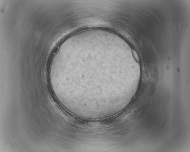 X0000052610391200507221704