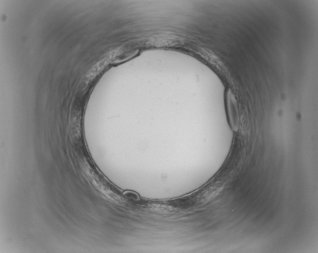 X0000052610393200507221704