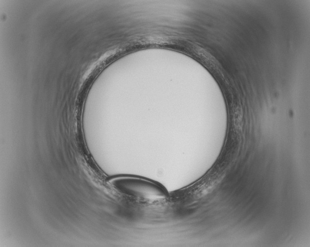 X0000052610395200507221704