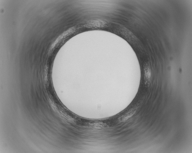 X0000052610396200507221704