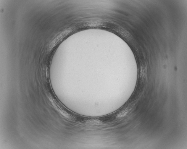 X0000052610397200507221704