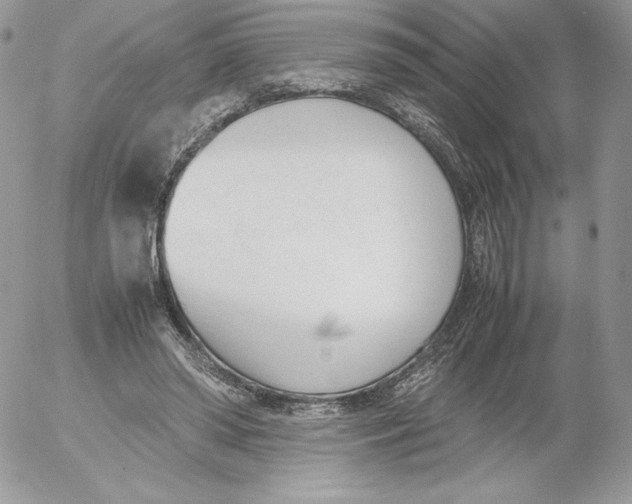 X0000052610398200507221704