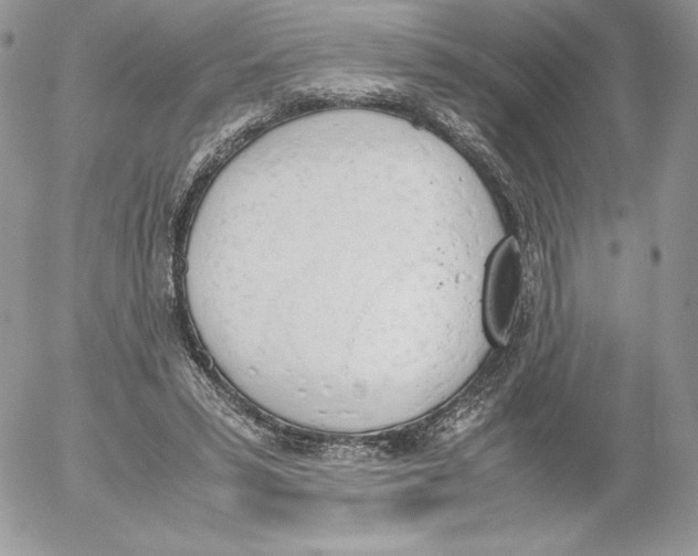 X0000052610399200507221704