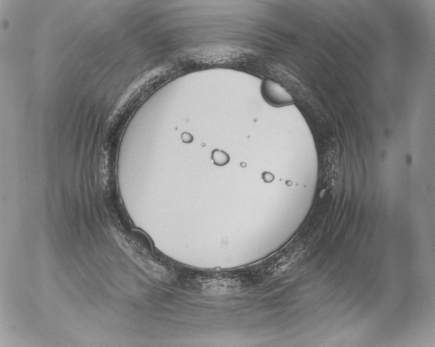 X0000052610400200507221704