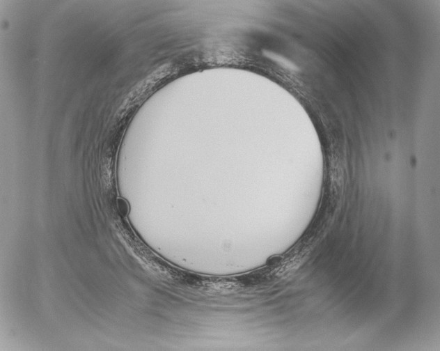 X0000052610401200507221704