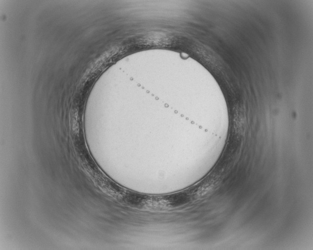 X0000052610403200507221704