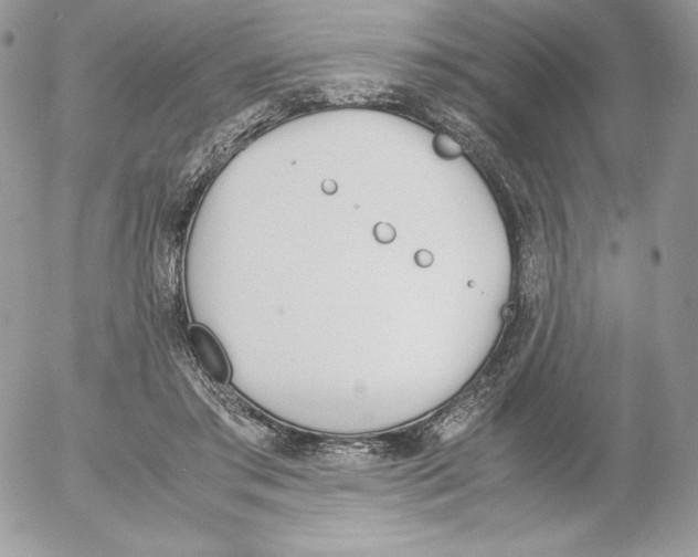 X0000052610405200507221704