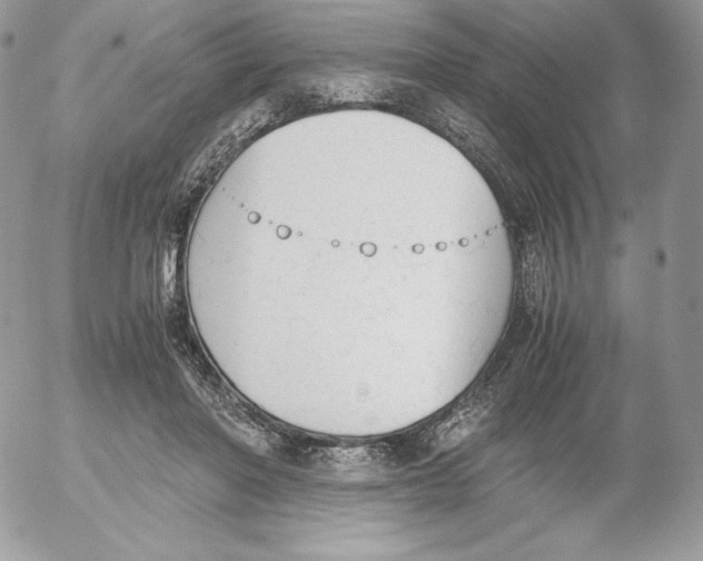 X0000052610406200507221704