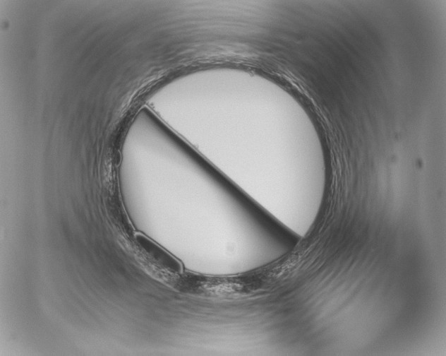 X0000052610407200507221704