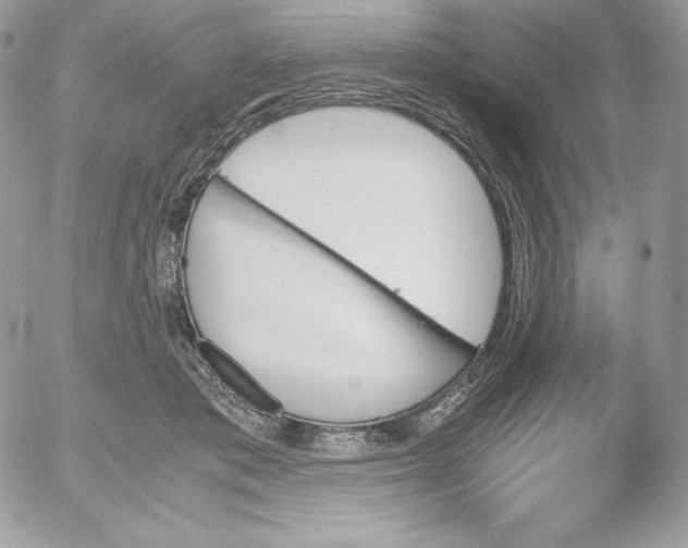 X0000052610413200507221704