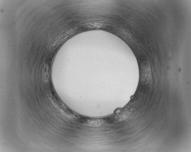 X0000052610414200507221704