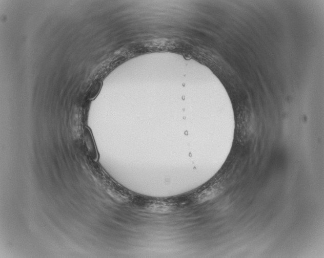 X0000052610416200507221704