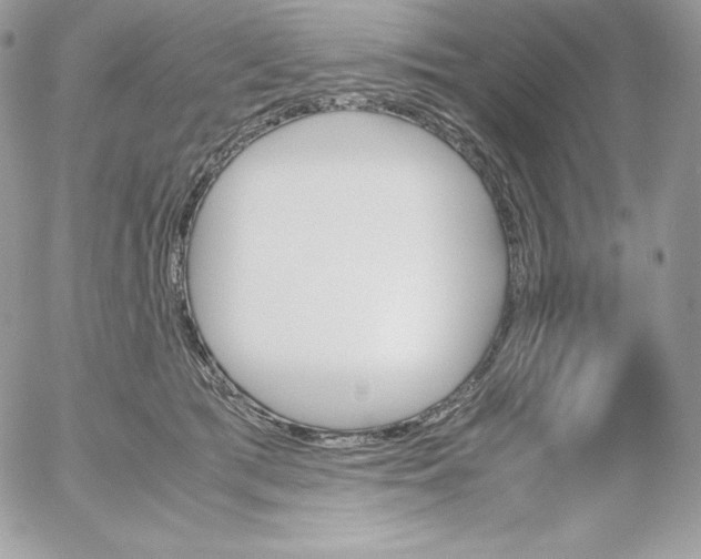 X0000052610417200507221704