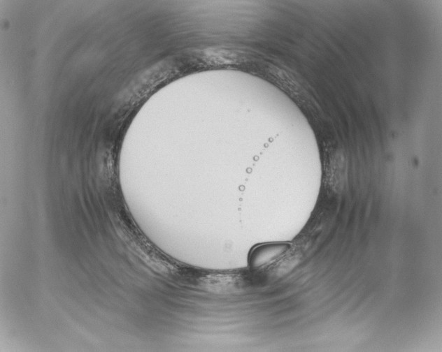 X0000052610418200507221704