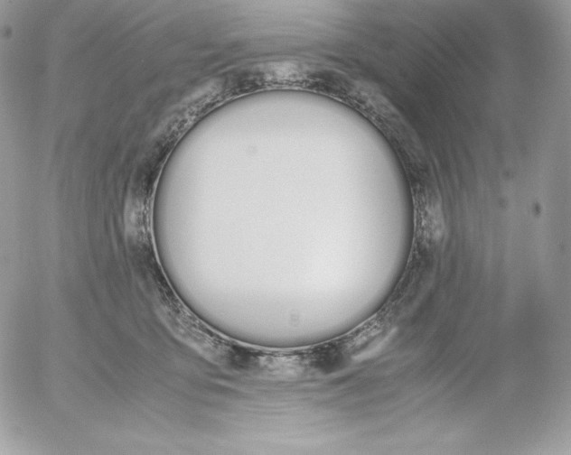 X0000052610419200507221704